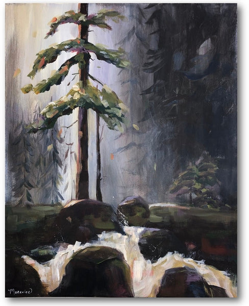 McLoughlin Twilight