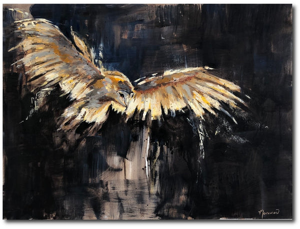 Night Flight